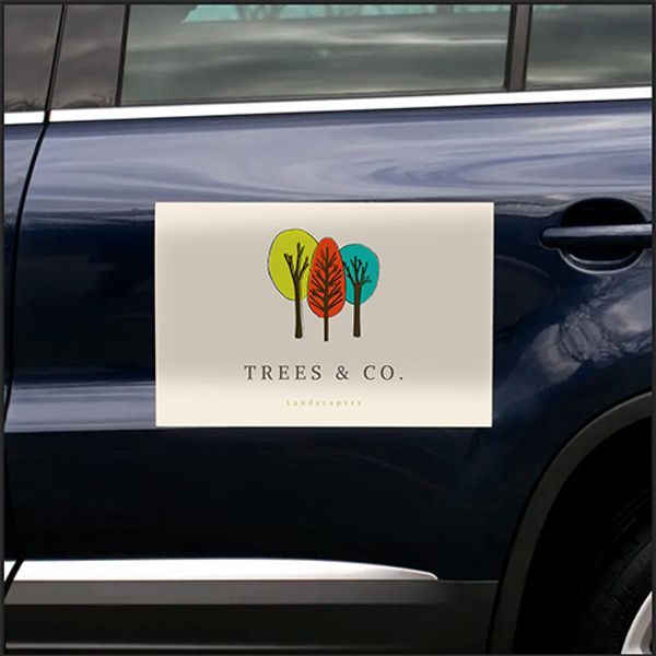Custom Vehicle Decals